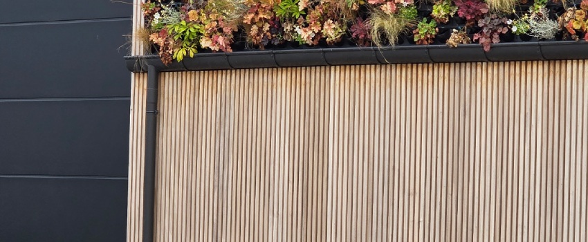 Douglas gevel die behandeld is met beits