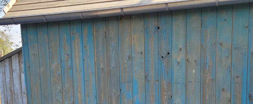Blauwe houten tuinschuur met groene aanslag