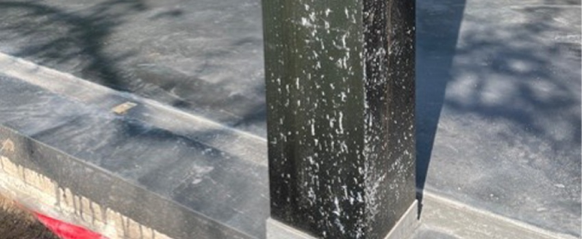 Harsvlekken op een douglas houten balk