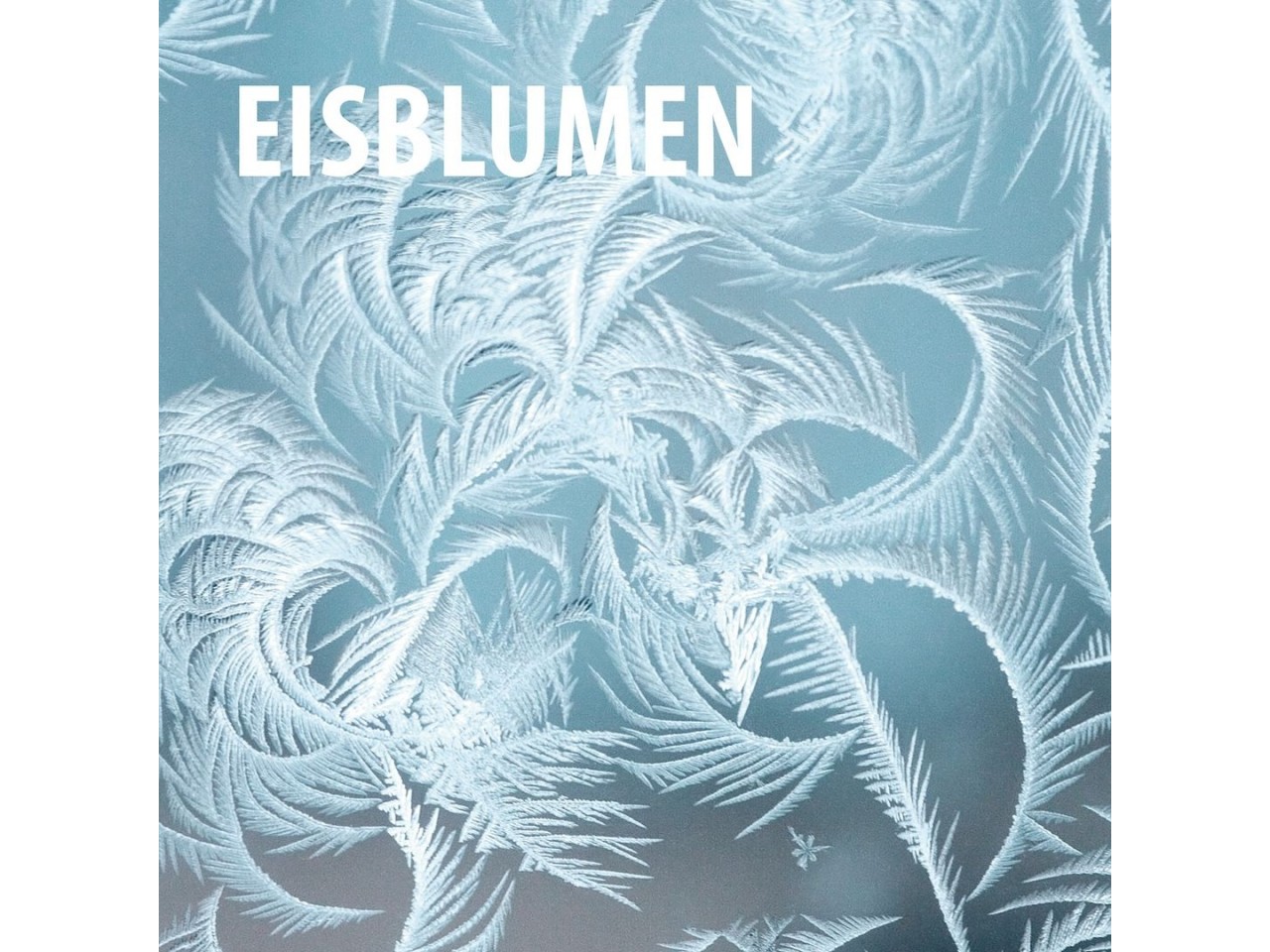 IJsbloem spray