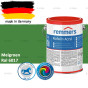 fixza-remmers-rofalin-acryl-2,5-liter-ral-6017-2.0-wm