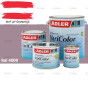 fixza-adler-varicolor-750ml-375ml-750ml-2,5l-lakverf-ral-4009-pastelviolet
