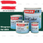 fixza-adler-varicolor-750ml-375ml-750ml-2,5l-lakverf-ral-6005-mosgroen
