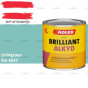 fixza-brilliantalkyd-lichtgroen-750-ml-2.0-wm