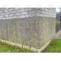 fixza-gevelreiniger-bfa-metselwerk