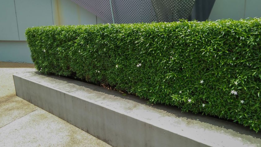 Betonblokken worden onder andere gebruikt voor plantenbakken.