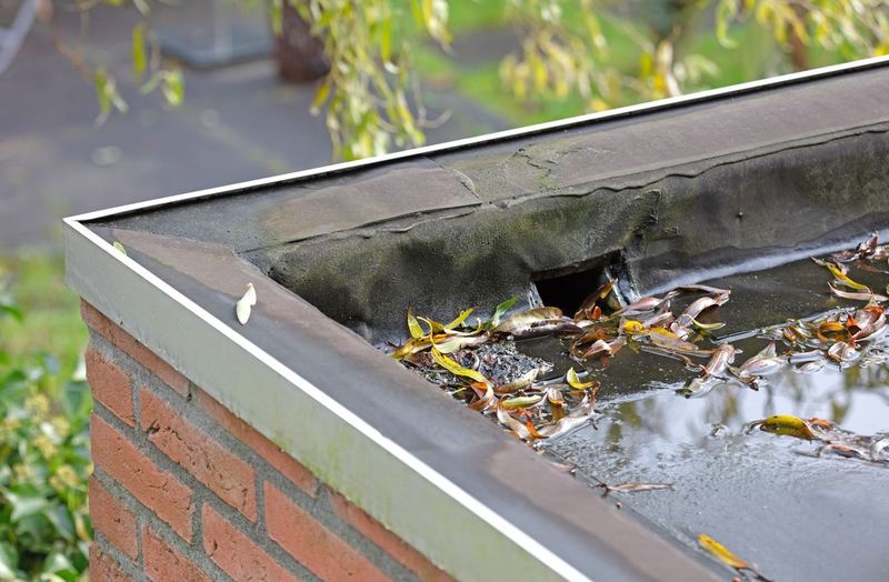 Ophoping van vuil en rommel zoals bladeren op een plat dak waardoor het water niet goed weg kan stromen Ophoping van vuil en rommel zoals bladeren op een plat dak waardoor het water niet goed weg kan stromen